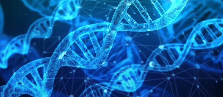 Präimplantationsdiagnostik als außergewöhnliche Belastung